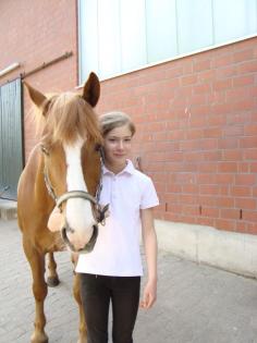 Wer stellt mir sein Pferd/Pony zur Verfügung