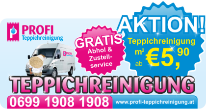 Wien Teppichreinigung - Profi Teppichreinigung ab 5 90