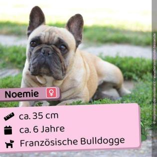 Noemie - total freundlich und sozial freiatmend