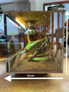 WüstenTerrarium zu verkaufen