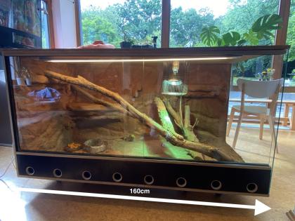 WüstenTerrarium zu verkaufen