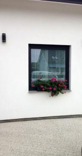 Günstige Kunststofffenster aus Polen - direkt vom Hersteller - deutsche Profile