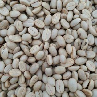 100 Arabica Rohkaffee Kaffeebohnen Bio Grüner Kaffee ungeröstet Ernte 2022 Coff