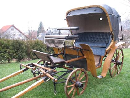 Englischer Parkwagen Pferdekutsche
