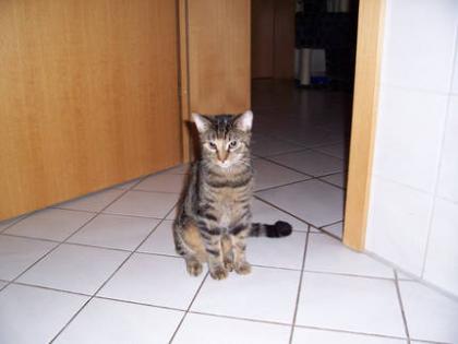 Suche ein neues zu hause