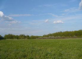 7 4 Hektare Bauernhof mit Wald in Ungarn