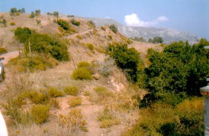 Unser Angebot auf der Insel Evia/Griechenland