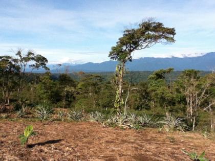 Zu verkaufen schöne Finca mit agroproductive touristischen Erwartungen in der P