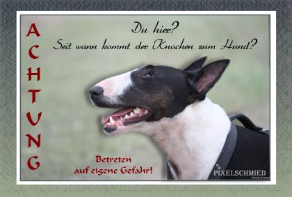 WARNSCHILDER aus Fotos von Eurem Hund - Katze - Kleintier oder Reptilien