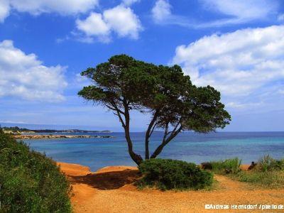 Ibiza DZ HP Flug ab 370 Euro