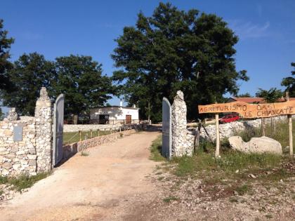 Urlaub am Bauernhof im Gargano Italien