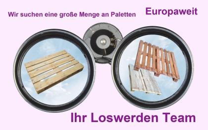 Suchen gebrauchte Europaletten Einwegpaletten