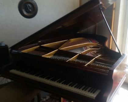 Bechstein Flügel von 1905