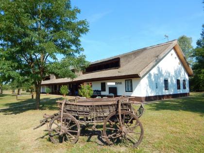 BAUERNHAUS BAUERNHOF GEHÖFT LANDHAUS HAUS IN UNGARN ZU VERKAUFEN