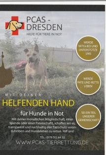 Futterspender für Tiere in Not