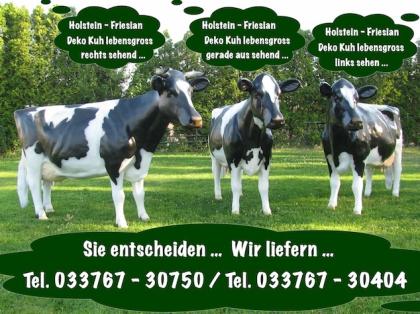 Holstein - Friesian Deko Kuh lebensgross - Recht - Links - oder Geradeaus sehen