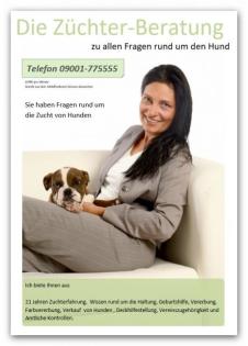 Ihre Hunde-Hebamme Direkt am Telefon Hunde-Züchter-Beratung
