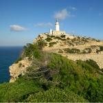 Traumreisen zu Traumpreisen nach Mallorca