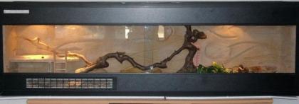 Terrarium 160 x 30 5 x 50 5 cm samt Inhalt aus Umzugsgründen dringend abzugeben