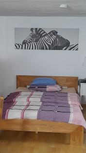 Apartment in Sindelfingen