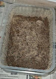 Drosophila Springschwänze Blattläuse Asseln