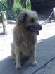Kuvcmix super lieb sozial sucht
