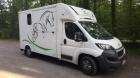 Pferdetransport. Pierkes fragen