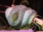 Hobby aufgabe Python s und vieles mehr.