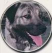 Sivas Kangal