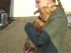 Welpen