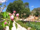 SARDINIEN-FerienunterkünfteTraumhaftes Ferien