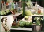 NUXE Naturkosmetik bei www. hautsache-kosmetikstudio. de