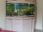 Eckaquarium