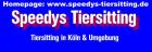 Dogsitter Catsitter Tiersitting in Köln Umgebung