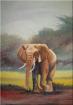 In Öl gemalter Elefant in der Steppe Afrika s.