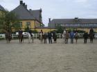 Reitbeteiligungen Westfale Reitpony Vollblutaraber Welsh A
