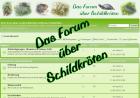 Wir beantworten eure Fragen über Schildkröten