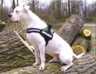 Hundesport-24. Fachausstattung für Freizeit- Sport- und Diensthunde