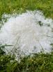 Granulat Wassergel Agrogel für Pflanzen und Blumen Wasserspeicher 2 kg