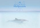 Heilpraxis Schorer Sauter