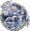 Suche ein Pony