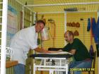 Gut Physiotherapeut aus POLEN 34 J. sucht die gute Arbeit im PRIVAT PRAXIS mit