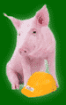 Schwein gehabt Geld gespart