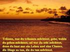 Geld - ist das schönste und einfachste Produkt der Welt