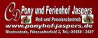 Ferien auf dem Ponyhof
