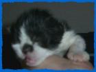 Hurra unsere Babys sind da