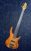 Bassunterricht Kontra- und E-bass Gitarre für Anfänger