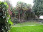 Schöne 2. 5 gartenwohnung in locarno zu vermieten.