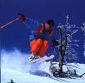 SKIURLAUB IN RIESENGEBIRGE PENSION