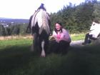 SUCHE REITBETEILIGUNG IN ISERLOHN